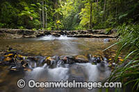 Bucca Bucca Creek Crossing Cascade, situated in Ulidarra National Park, near Coffs Harbour, New South Wales, Australia.