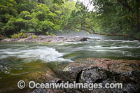 Never Never River, a rainforest stream situated in the Promised Land, near Bellingen, New South Wales, Australia.