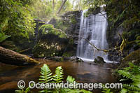 Tea Tree Falls, New England National Park, New South Wales, Australia. This rainforest is listed on the World Heritage List in recognition of its outstanding universal value.