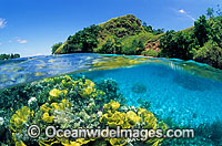 Half under and half over water picture of various hard Corals and tropical island beach. Papua New Guinea