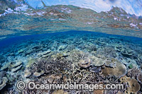 Shallow coral reef scene. Photo taken at the Fijian Islands.