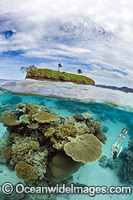 Snorkel Diver exploring a tropical coral reef at Kadavu Island, Fijian Islands.