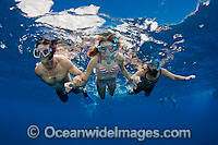 Snorkel divers (MR) exploring a reef off Hawaii, USA.