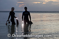 Snorkel Divers entering the ocean with lights at dusk. Photo taken in Indonesia. Within the Coral Triangle.