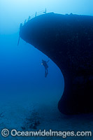 Diver exploring the shipwreck Sea Tiger off Waikiki, Oahu, Hawaii, Pacific Ocean.