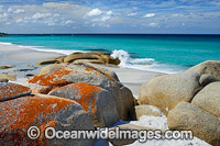 Bay of Fires Tasmania Photo - Gary Bell