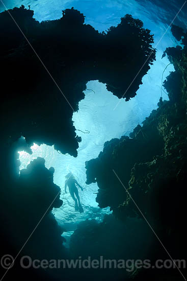 Diver in Sea Cavern photo