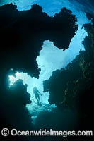 Diver in Sea Cavern Photo - Gary Bell