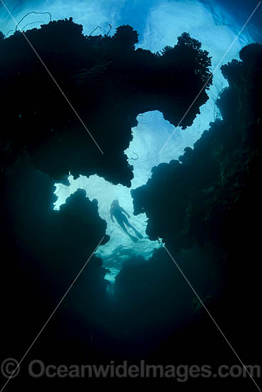 Diver in Sea Cavern photo