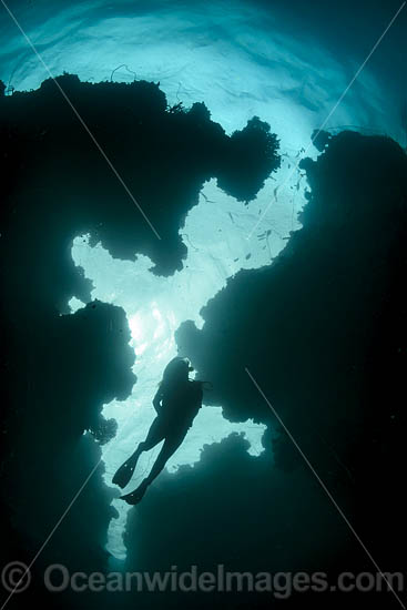 Diver in Sea Cavern photo