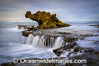 Dragon Head Rock Photo - Gary Bell