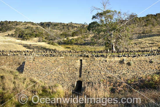 Spiky Bridge Tasmania photo