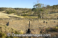 Spiky Bridge Tasmania Photo - Gary Bell