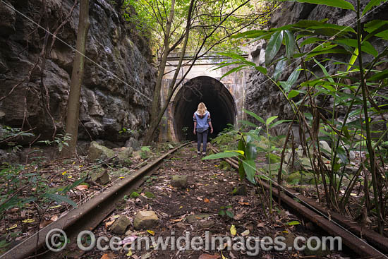 Glenreagh Train Tunnel photo