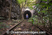 Glenreagh Train Tunnel Photo - Gary Bell