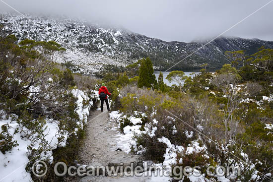 Cradle Mountain Tasmania photo