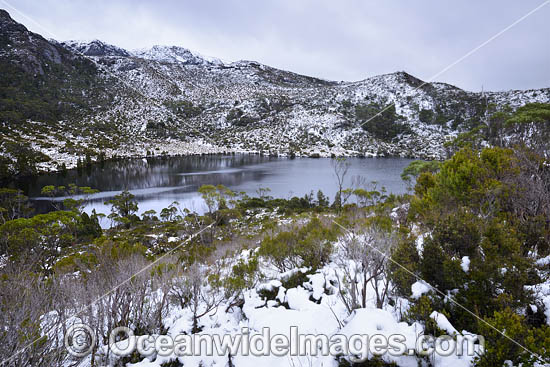 Cradle Mountain Tasmania photo