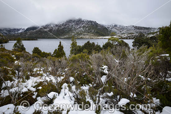 Cradle Mountain Tasmania photo