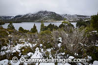 Cradle Mountain Tasmania Photo - Gary Bell