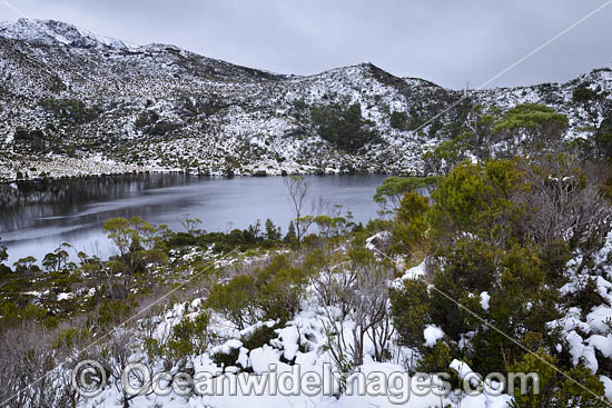 Cradle Mountain Tasmania photo