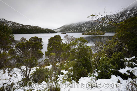 Cradle Mountain Tasmania photo