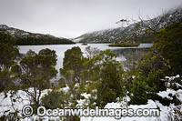 Cradle Mountain Tasmania Photo - Gary Bell