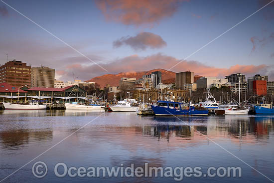 Constitution Dock Tasmania photo