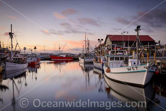 Constitution Dock Tasmania photo