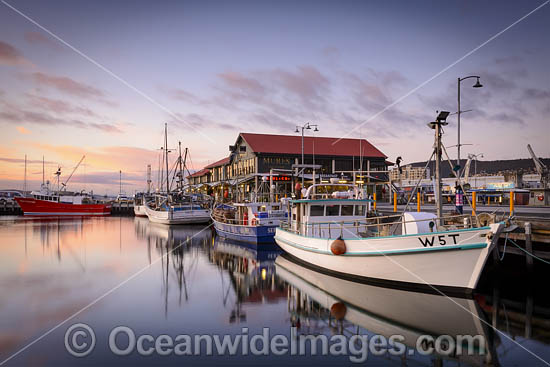 Constitution Dock Tasmania photo