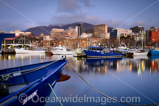 Constitution Dock Tasmania photo