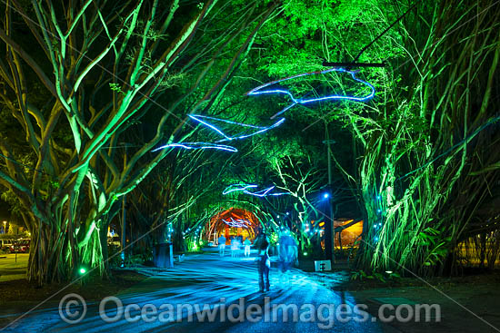 Cairns esplanade photo