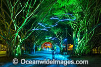 Cairns esplanade Photo - Gary Bell