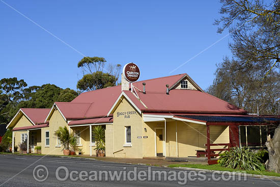 Boggy Creek Pub photo