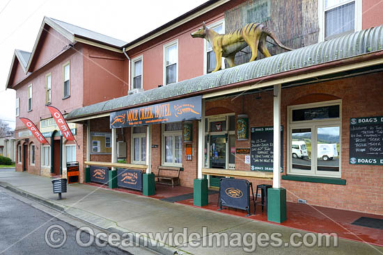 Mole Creek Hotel photo