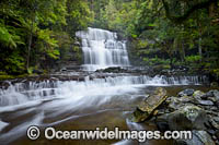 Liffey Falls Tasmania Photo - Gary Bell