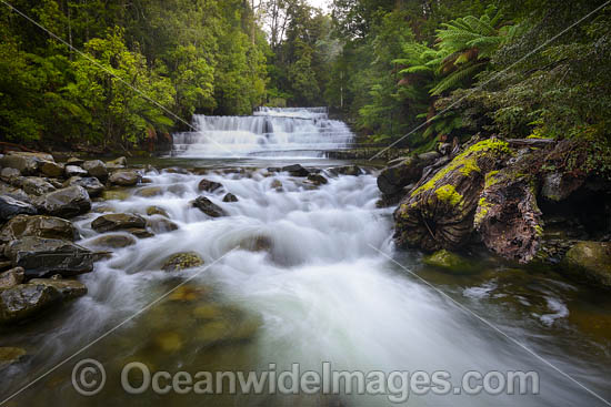 Liffey Falls Tasmania photo