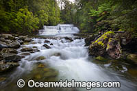 Liffey Falls Tasmania Photo - Gary Bell