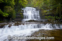 Liffey Falls Tasmania Photo - Gary Bell