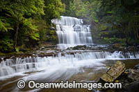 Liffey Falls Tasmania Photo - Gary Bell