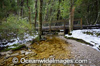 Cradle Mountain Photo - Gary Bell