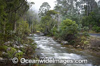 Cradle Mountain Photo - Gary Bell