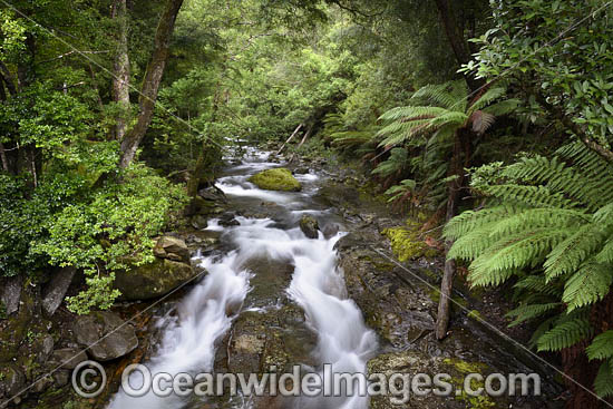 Cradle Mountain photo