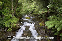 Cradle Mountain Photo - Gary Bell