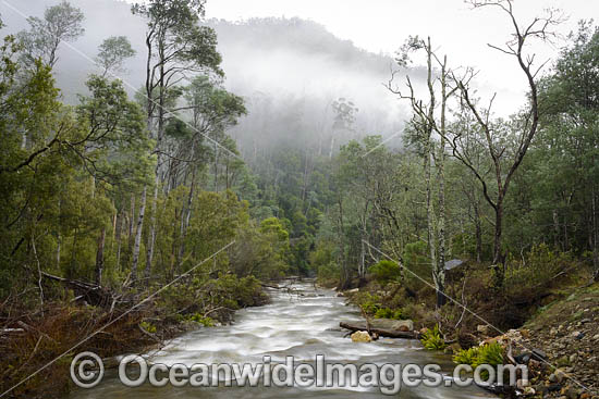 Cradle Mountain photo