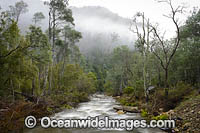 Cradle Mountain Photo - Gary Bell