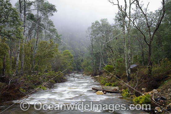 Cradle Mountain photo