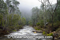 Cradle Mountain Photo - Gary Bell