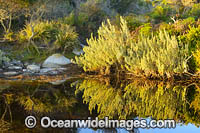 Mount William Tasmania Photo - Gary Bell