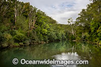 Orara River Photo - Gary Bell