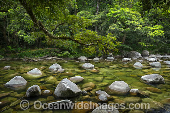 Mossman Gorge photo